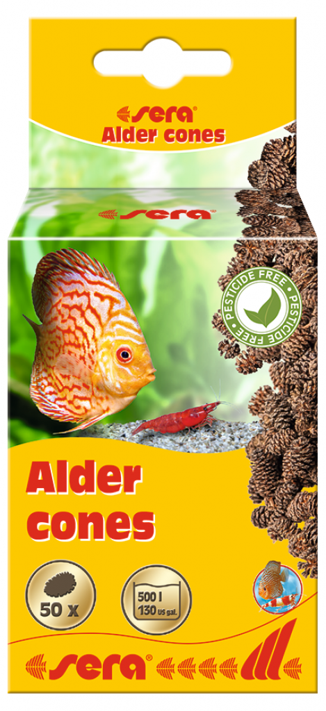 sera Alder cones 50 Stück